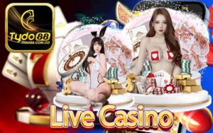 Live Casino Tydo88 Sân chơi xanh chín nhất cho cược thủ